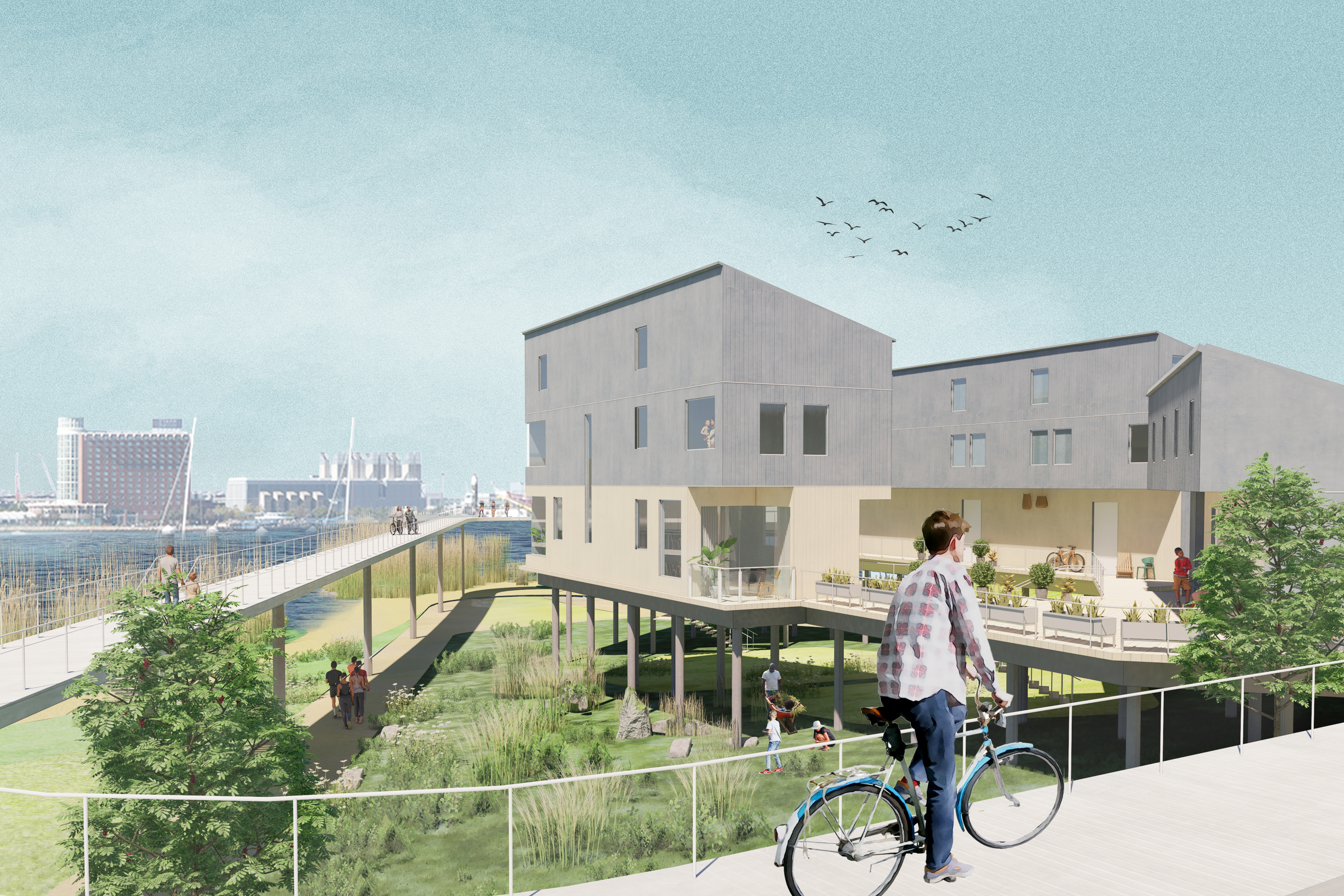 Housing typologies